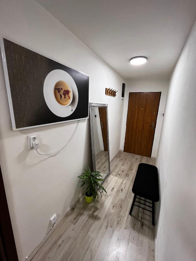 Large 3 Bedroom Apartment With City Skyline View Karlovy Vary Exterior foto